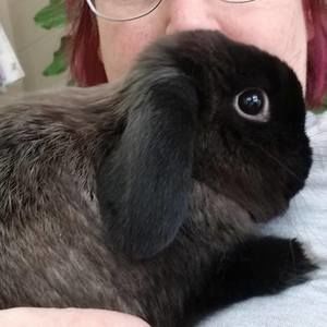 Meet your Posher, Renay